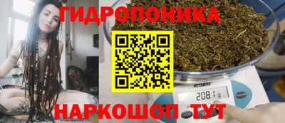 стафф Славянск-на-Кубани