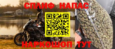 наркотики Сланцы